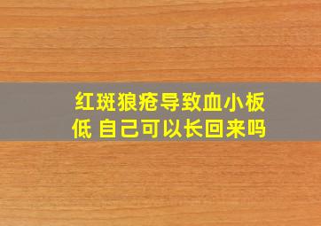 红斑狼疮导致血小板低 自己可以长回来吗